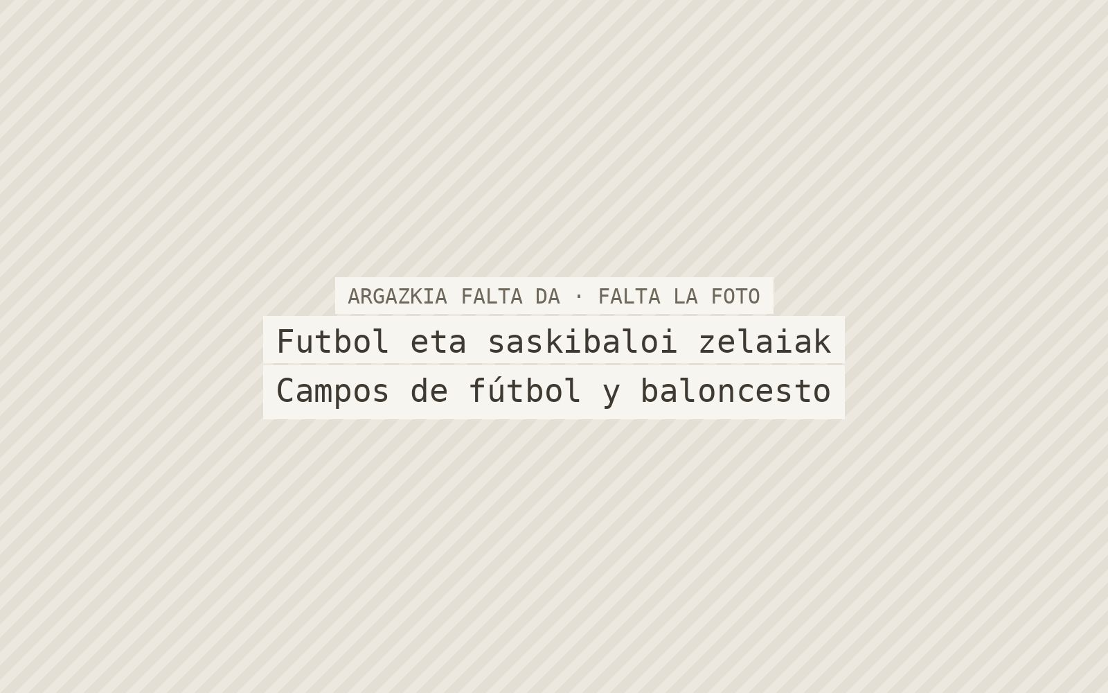 Futbol eta saskibaloi zelaiak