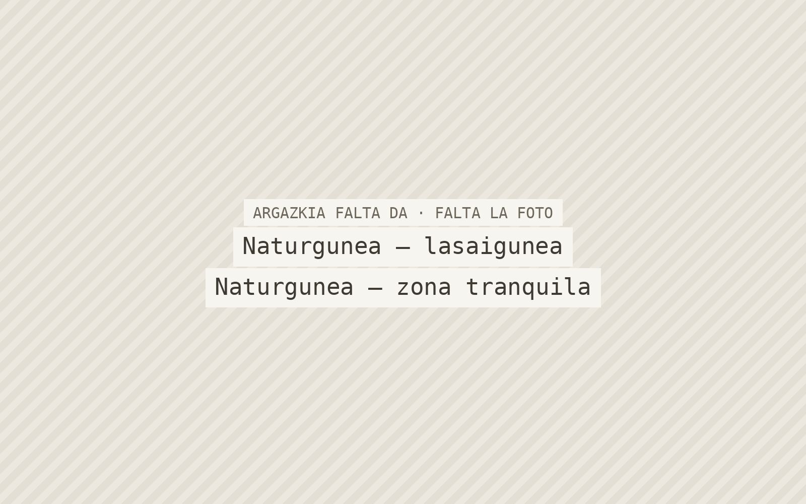 Naturgunea — lasaigunea